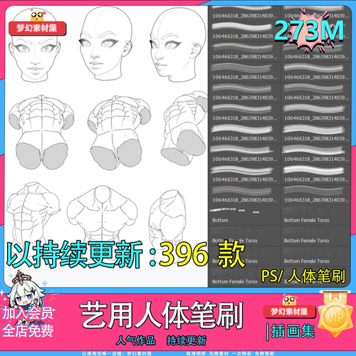 Procreate笔刷ps笔刷艺用人体笔刷人体躯干头部辅助线临摹练习
