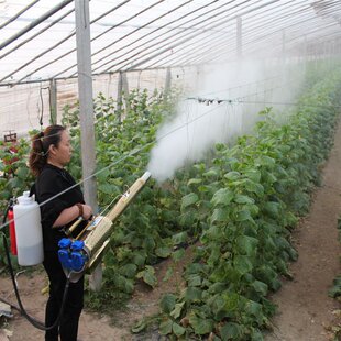 新型果园打药弥雾机双管脉冲打药机小型轻便迷雾机烟雾机