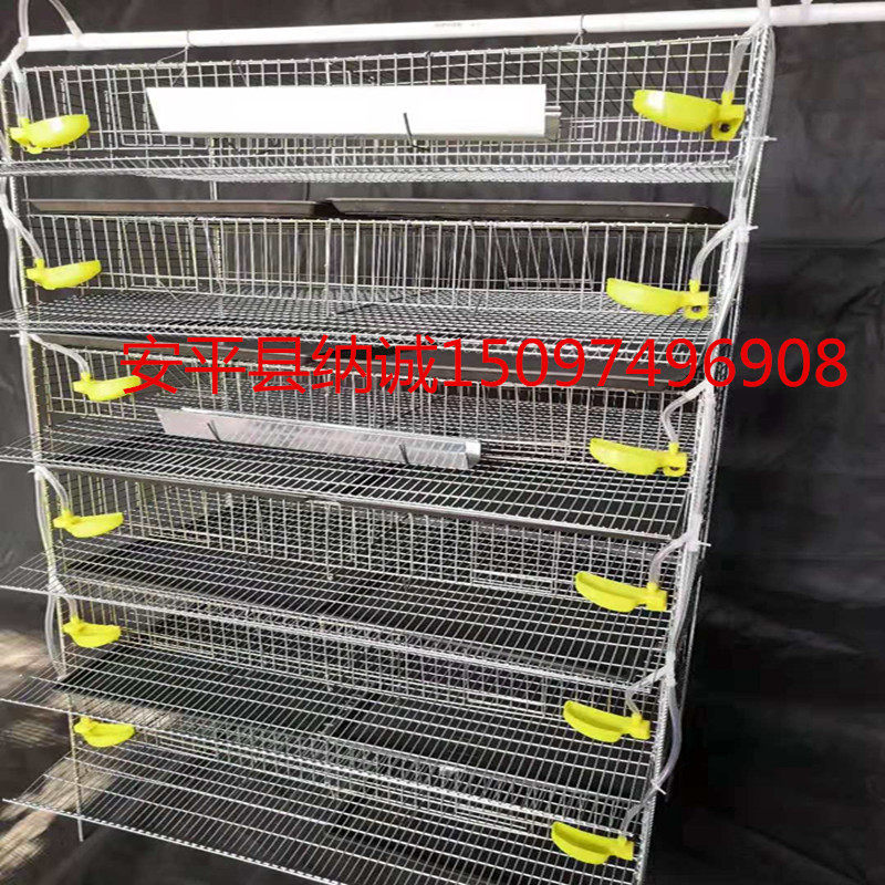 6层养殖场立式节空间鹌鹑笼子 鸟笼鹌鹑蓝胸鹌鹑鹧鸪自动化养殖