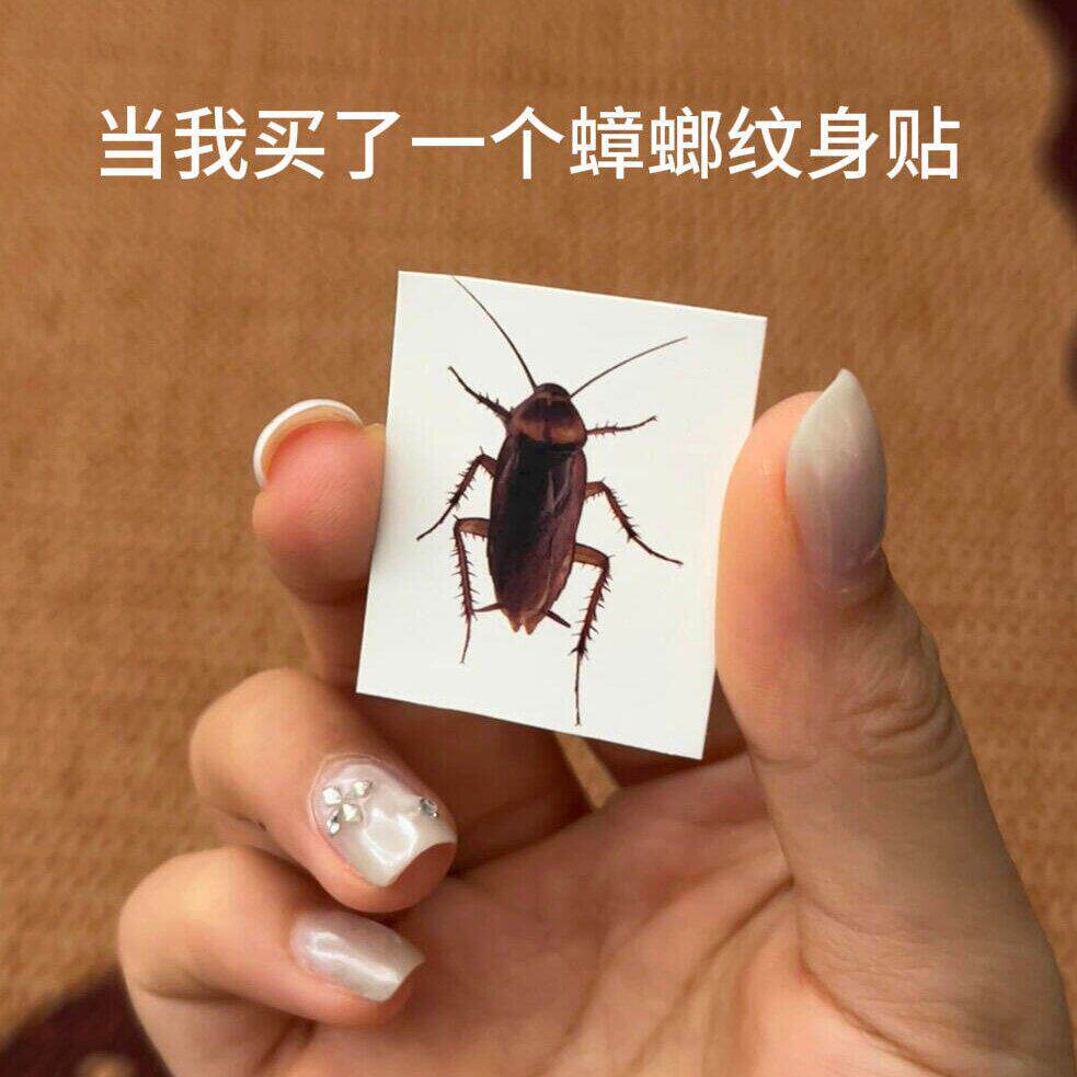 蟑螂纹身贴苍蝇纹身贴个性好玩搞怪恐怖防水整蛊趣味蟑螂纹贴
