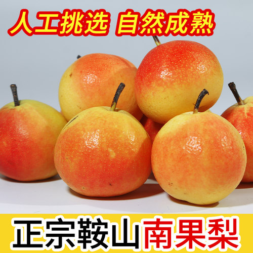 正宗辽宁鞍山南果梨新鲜应季水果香水梨孕妇宝宝水果