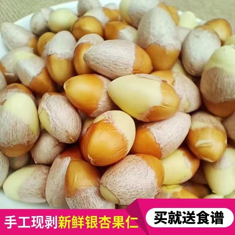 去壳新鲜银杏果手剥生银杏仁