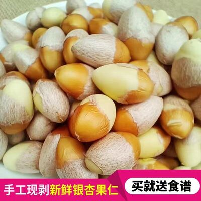 去壳新鲜银杏果手剥生银杏仁