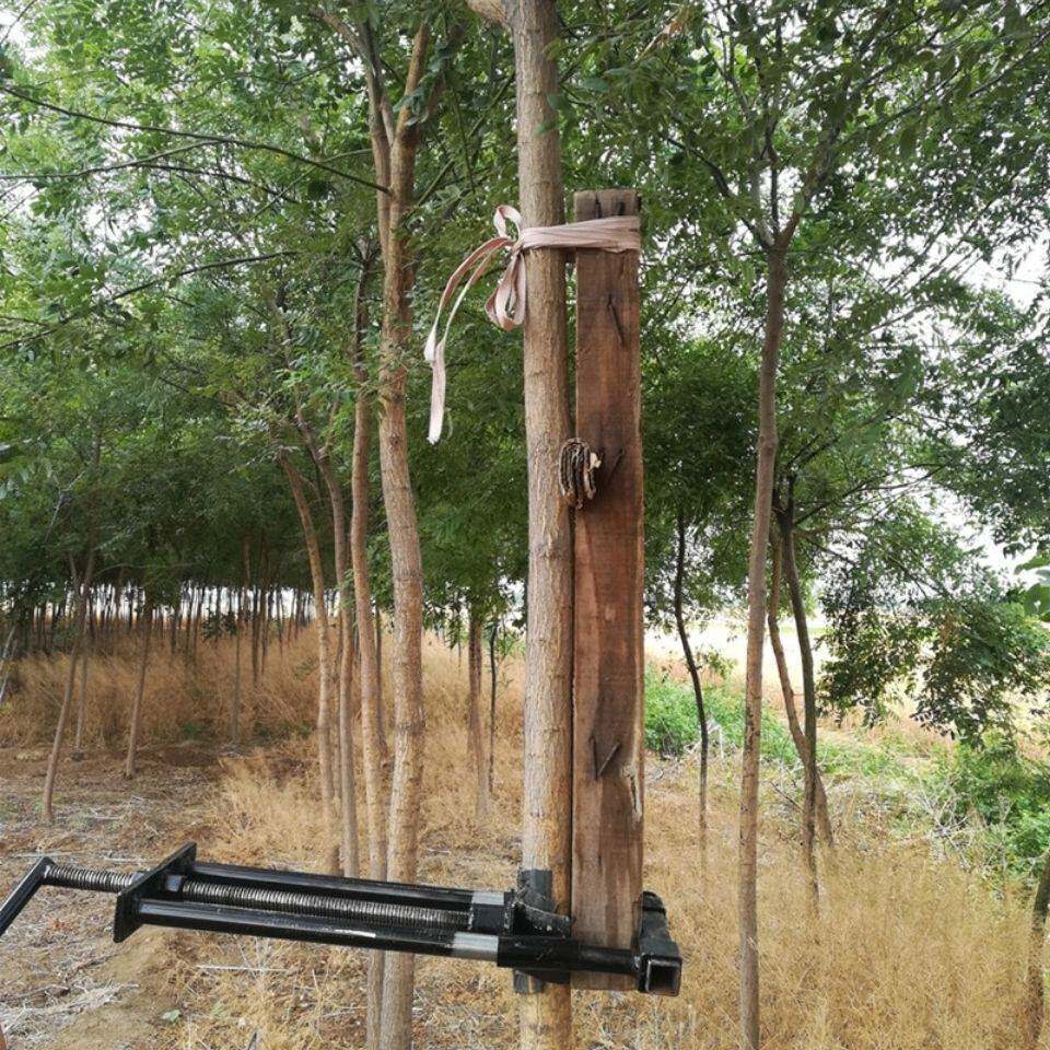 弯树调直器树木直弯器苗木矫正器小树直树器园林果园农用专用工具