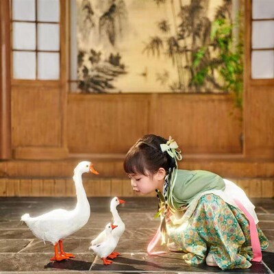 女童汉服魏晋风民族平民小女孩女宝宝围裙古风套装绿色田园风小童