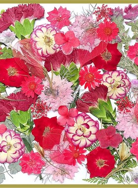 押花DIY混合干花树叶包压花真花植物标本亲子手工滴胶干花材料包