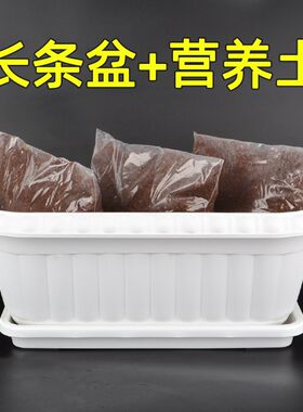 种菜盆长条盆花盆带土阳台家庭种菜神器室内蔬菜X长方形种植槽