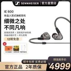 SENNHEISER/森海塞尔IE600 入耳式耳机监听HIFI专业发烧有线耳塞