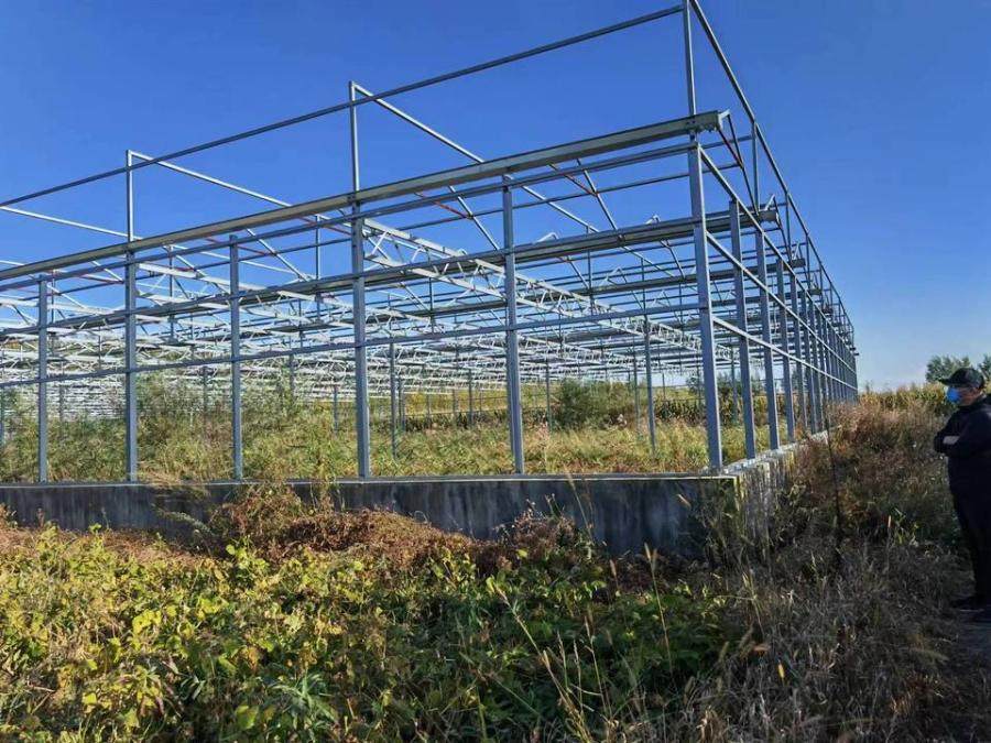 1月5日绥化房屋、设备、林木、土地使用权网络拍卖公告