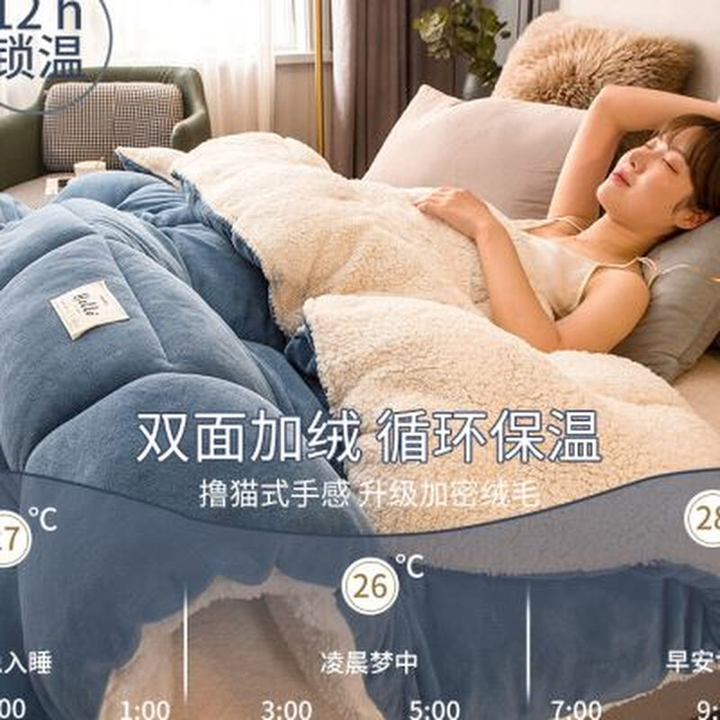 双面绒被子加厚冬被单双人学生宿舍被芯810斤保暖棉被冬季被褥子