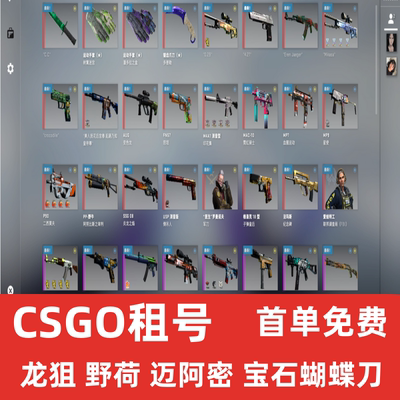 【下单秒发号】CSGO租号玩CS2租借5E龙狙野荷永恒宝石手套蝴蝶刀