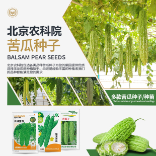 农科院苦瓜种子小濑瓜绿剑苹果白苦瓜秧苗家庭四季阳台蔬菜种籽孑