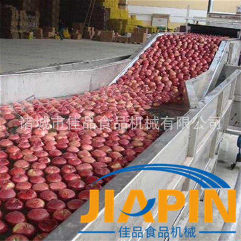 橘子柠檬果蔬清洗流水线 葡萄西红柿喷淋清洗机