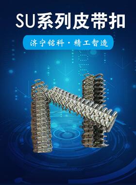 SU10007-12mm双排扣一盒10匝200mm宽度轻型高强皮带扣