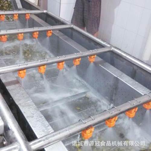 定制网带式果蔬气泡清洗机大枣大姜清洗线去农药残留清洗设备