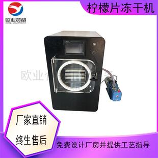 山楂真空冻干试验机FD苹果脆片真空冻干机柠檬片真空冻干生产线