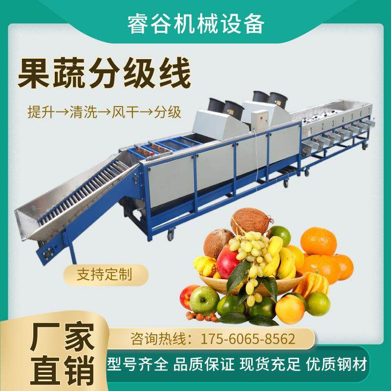 圣女果清洗分拣流水线大樱桃大型加工分选设备车厘子直径选果机,清洗/食品/商业设备,肉制品加工设备,淘宝优惠券,粉丝福利购,淘宝优惠卷