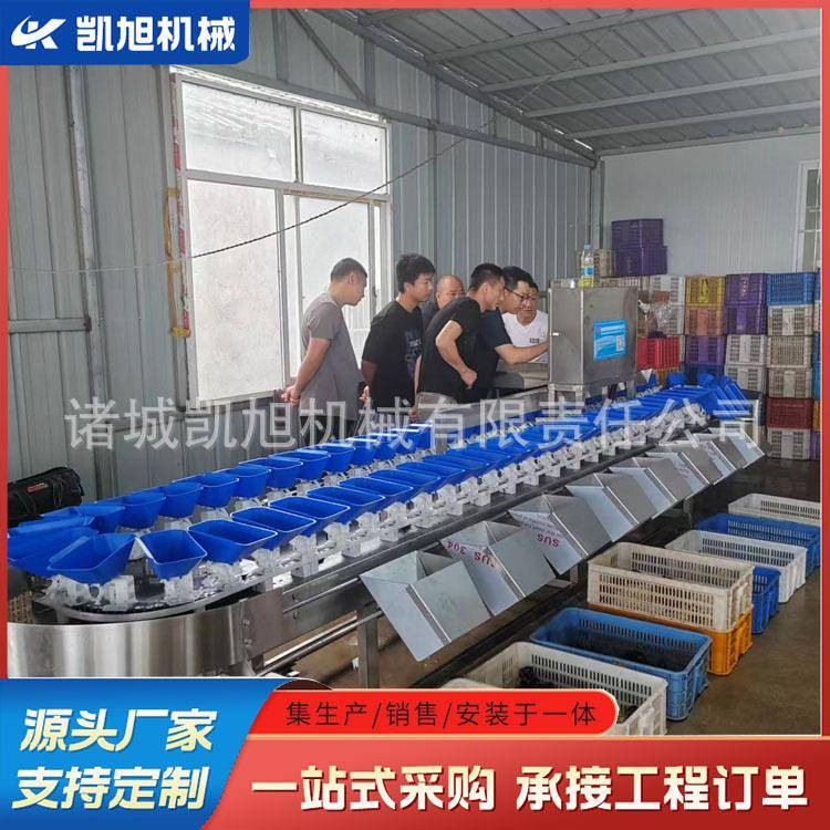 东北白条大鹅连续称重分拣机 鹅掌鹅胗全自动大小规格分类机