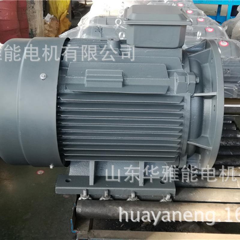 YYB-HRL TFP GSP2 50T电机空心轴YQB电机喷底漆逆时针转向做标记