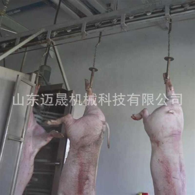 全自动生猪屠宰流水线整猪脱毛加工设备屠宰流水线屠宰场猪打毛机