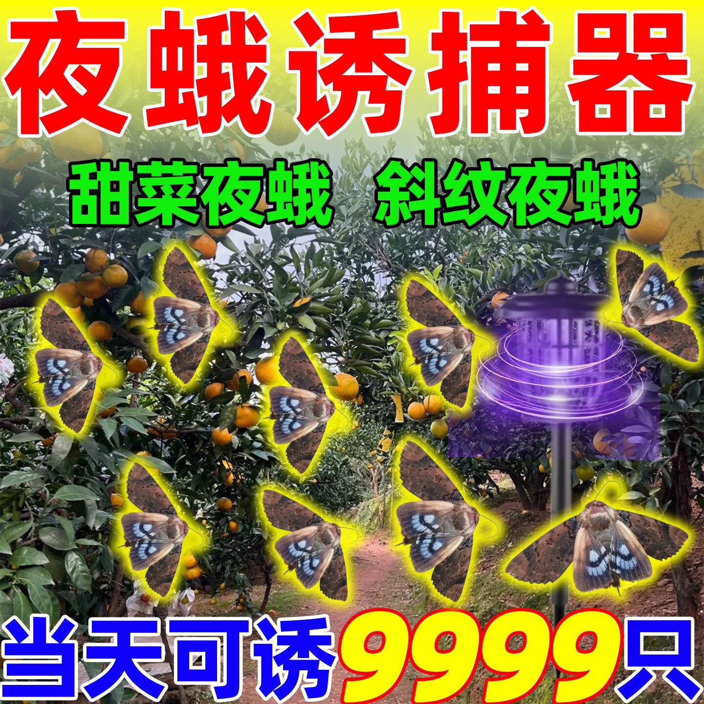 斜纹夜蛾诱捕器果园大棚蔬菜信息诱虫农用太阳能杀灭虫户外紫光灯