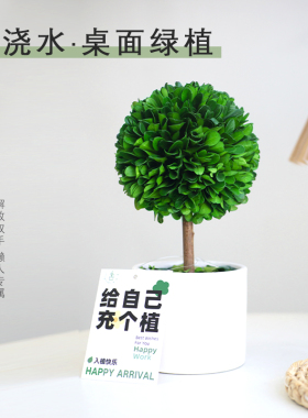 办公室桌面工位稳定情绪神器摆件