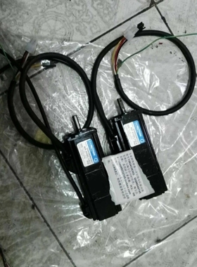 【议价】Q2AA04006DCS2C 全系列山洋电机驱动器维修销售1-3-82433