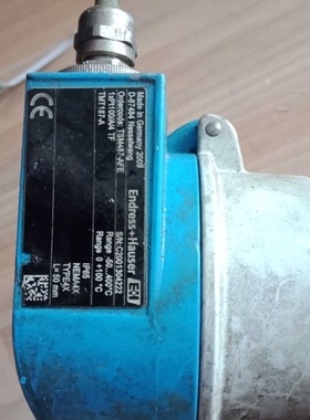 【议价】E+H TSM487-AFE热电阻D-87484实拍实价