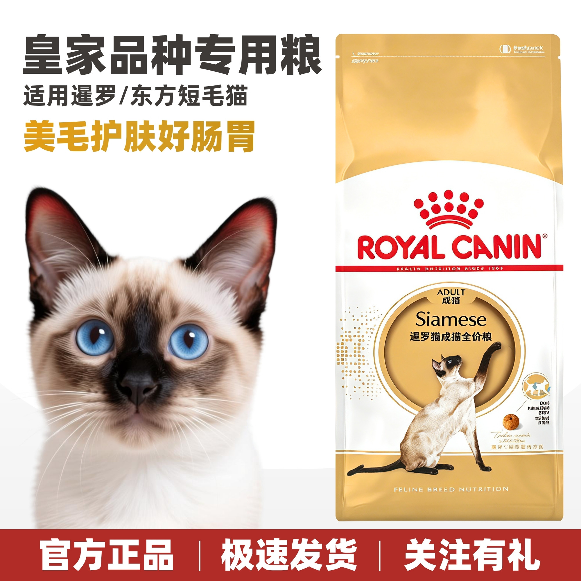 皇家猫粮暹罗专用粮护肤美毛