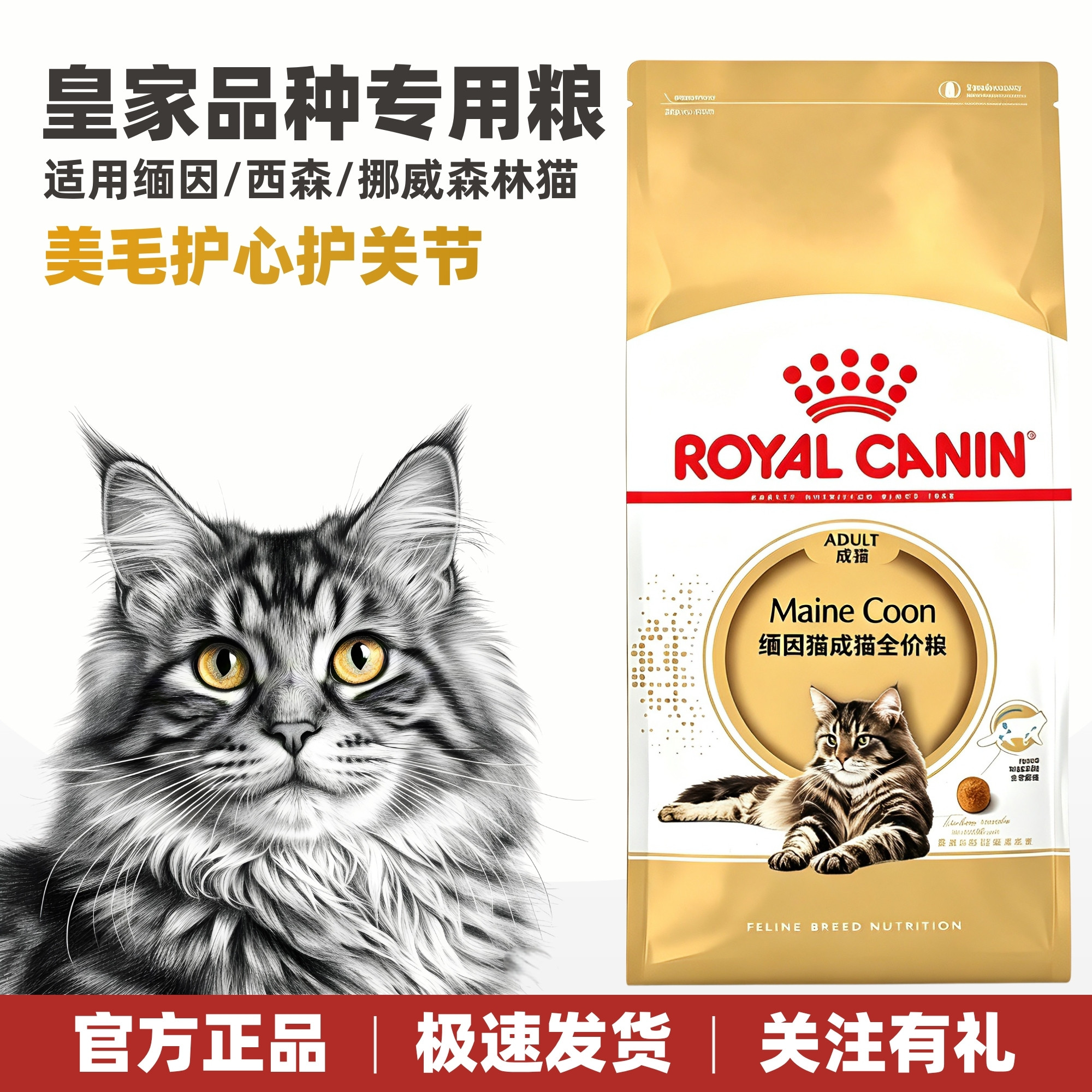 皇家猫粮缅因专用粮营养亮毛护肤图片