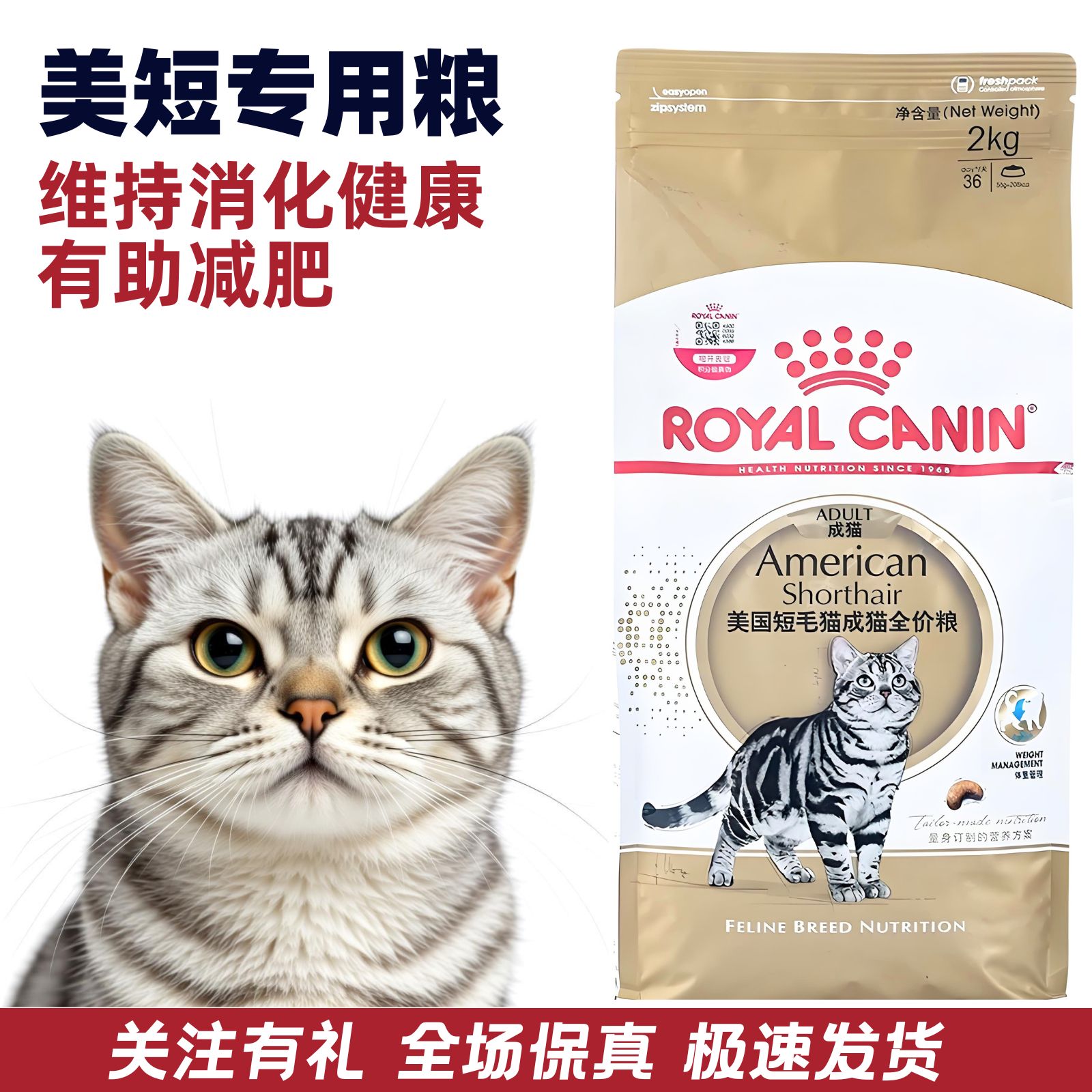 皇家美短成猫粮2KG肠胃健康营养