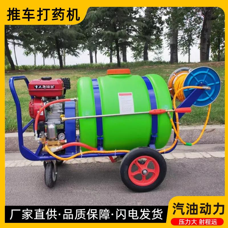 养殖场消毒灭菌喷药机手推式园林绿化喷雾机农用160升高压打药机