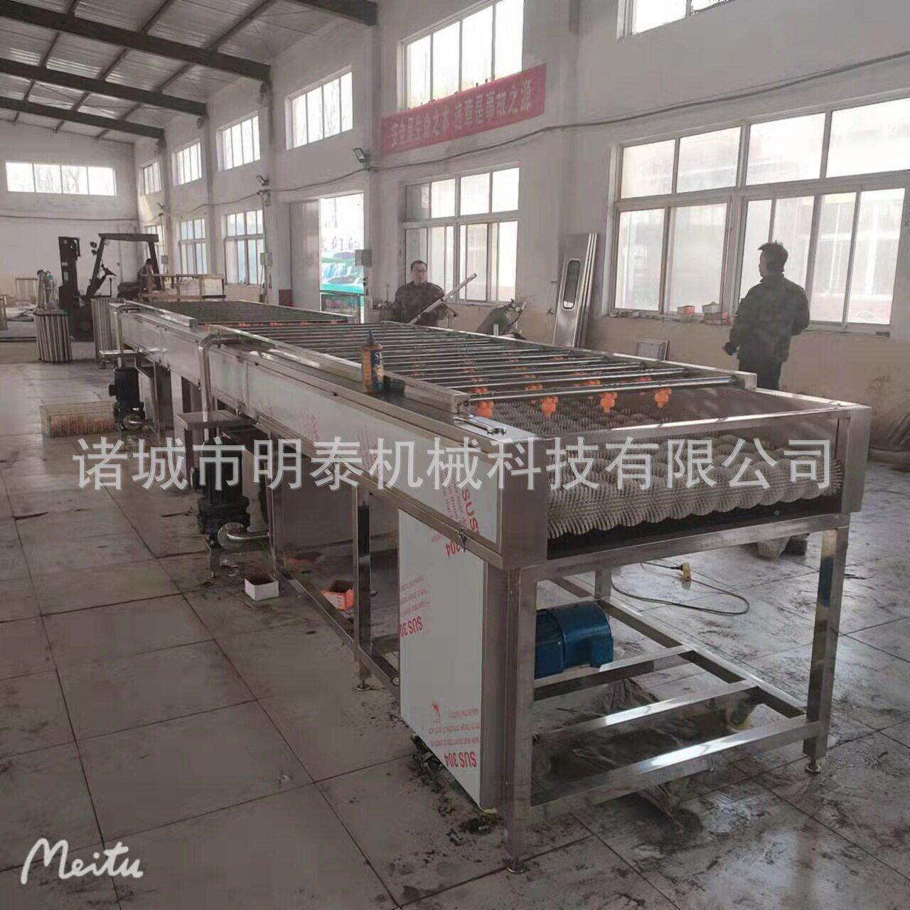 红MGPX-300薯设平行毛辊清洗机清芒果苹果洗清备胡萝卜山洗加工设