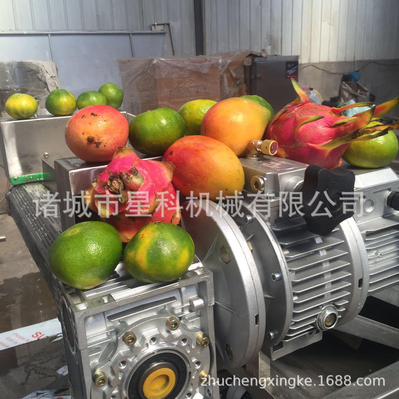 橙子清洗蜡蘑菇清洗MAGA-102甩干设备食堂酒清店打小型机洗机