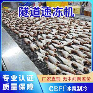 广州食品级冰泉产冷冻机速冻米制品生线速冻机效SS5节类能冻冷冻
