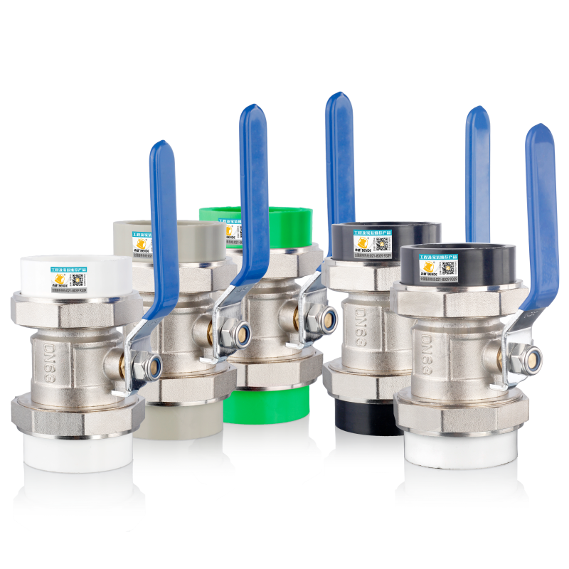 【关注领券】双头PPR铜活接头