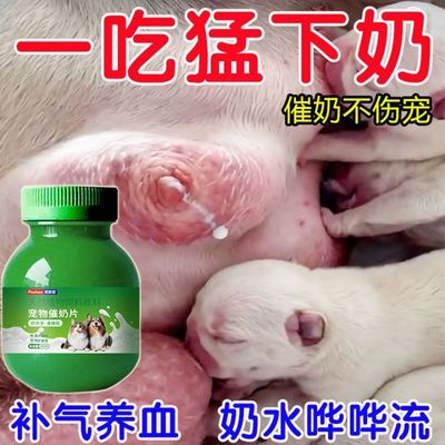 狗狗下奶催奶片催乳猫犬