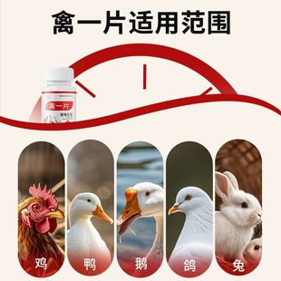 正品禽一片鸡鸭鹅感冒拉稀禽类急救片鸡药大全特效消炎呼噜治百病