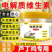 芦丁鸡电解多维补充维生素抗应激惊吓停蛋乱飞炸毛没精神啄羽啄肛