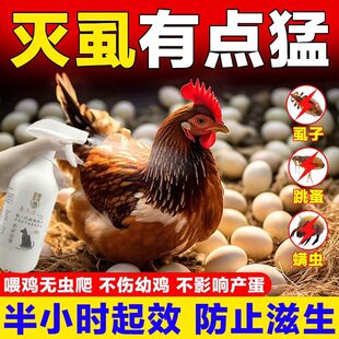 杀鸡虱子药鸡用体外驱虫药加强鸡虱净驱虱鸡舍消毒杀菌芦丁鸡驱虫