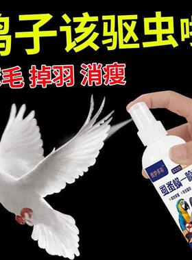 鸽子羽虱药螨虫寄生虫一