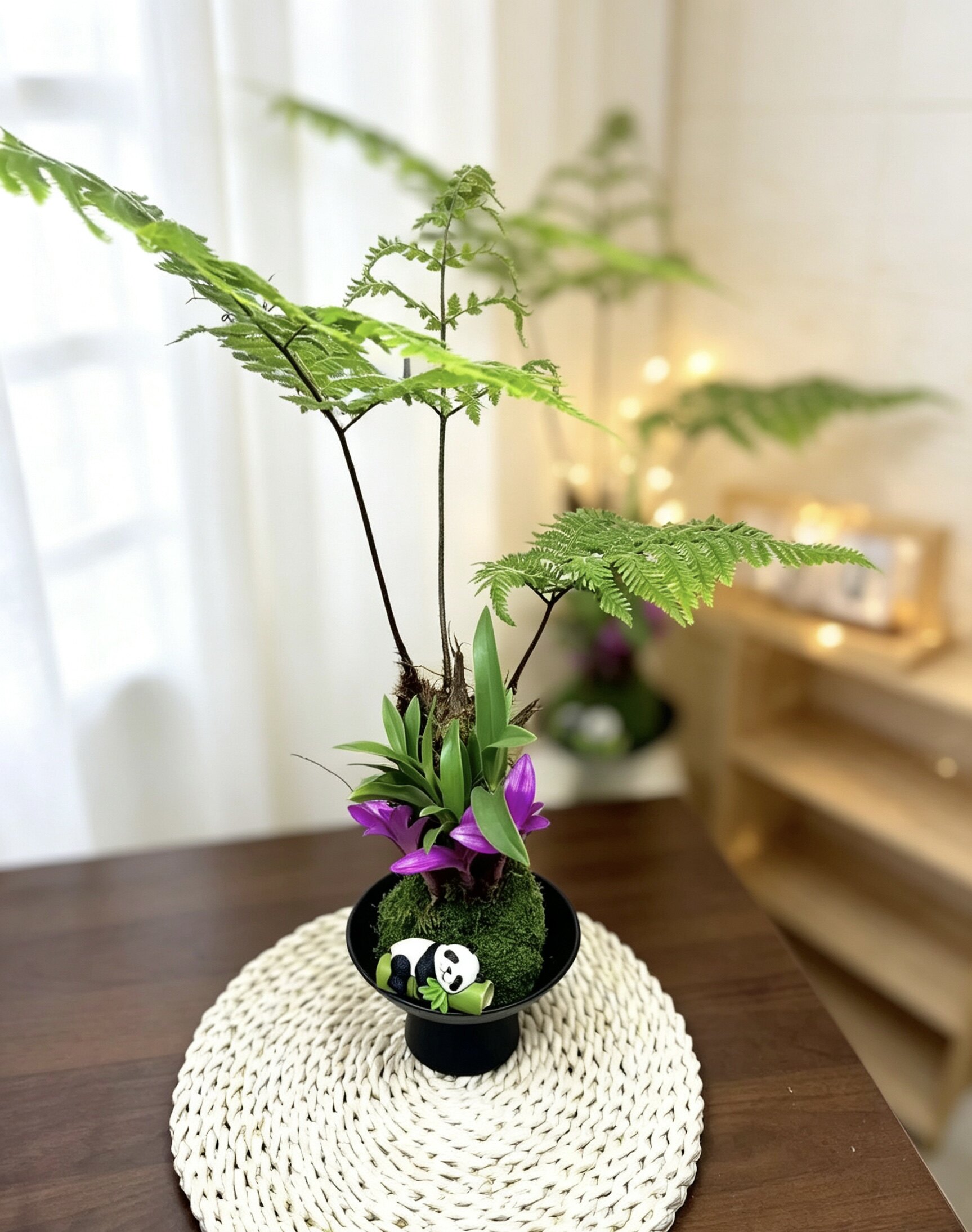 水培组合七彩红磷蕨耐苔藓中式禅意盆景室内绿植蕨类植物盆栽老桩