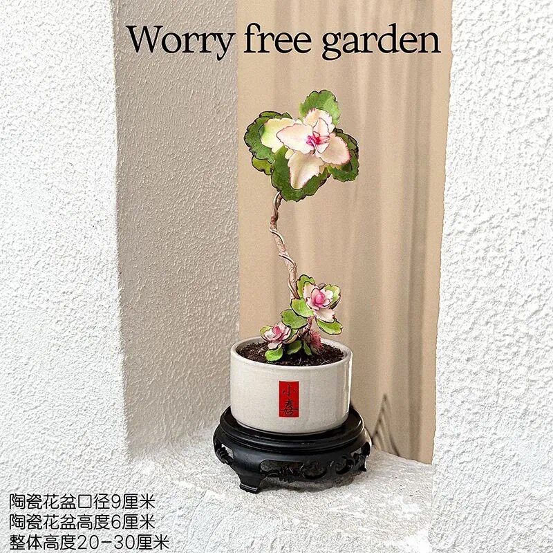 特价造型锦绣牡丹老桩多肉植物盆栽办公室工位桌面阳台盆景耐干旱