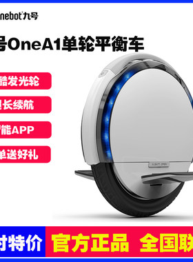 Ninebot One 九号A1单轮平衡车双电升级成人独轮电动车代步车