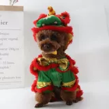 Интернет -знаменитость такая же домашняя собака Dog Dance Corgi