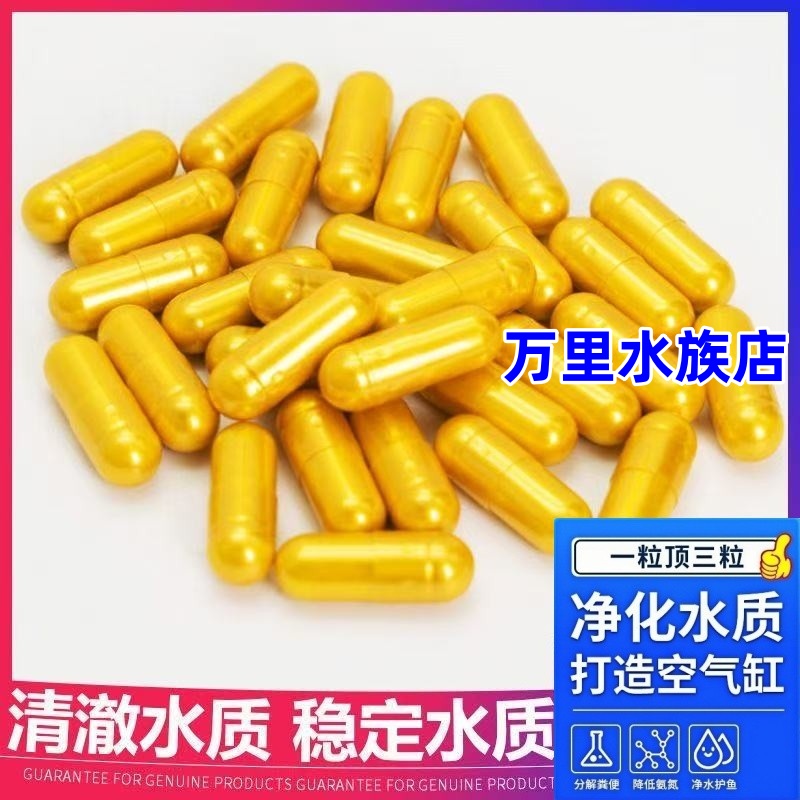 硝化细菌鱼缸专用胶囊净水活菌干粉养鱼用鱼药水族消化细菌水族箱