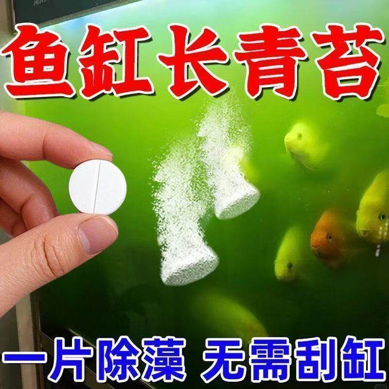 高效鱼缸除藻片绿青苔清除神器除绿水褐藻丝藻水垢净水片除臭去腥