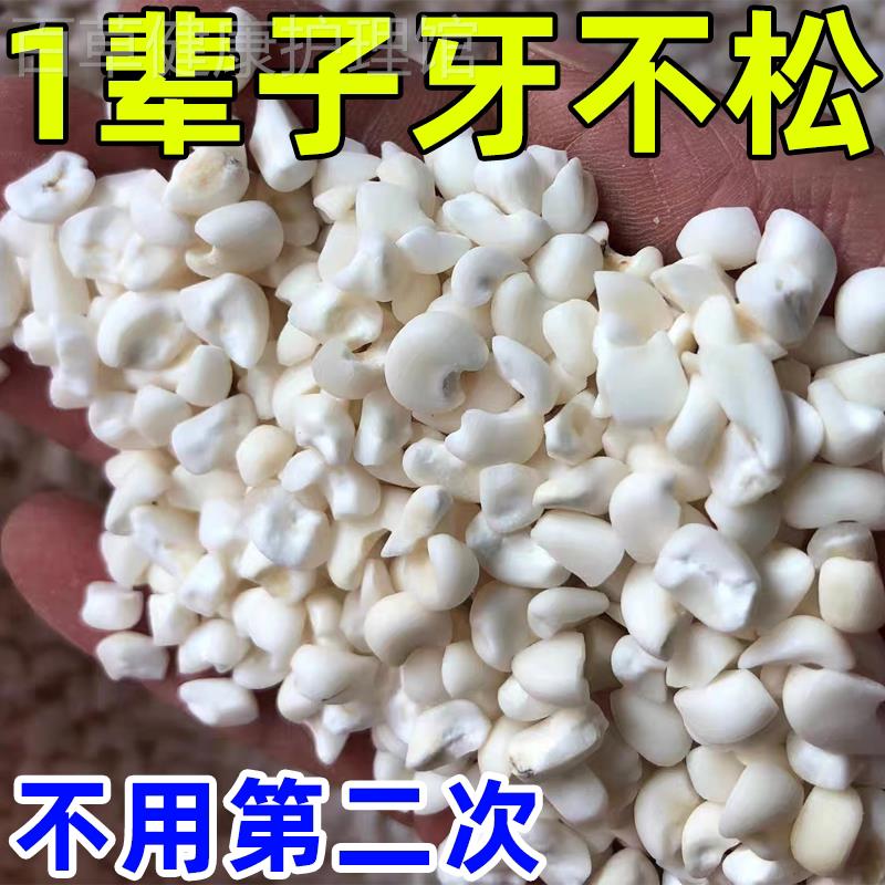 草本固齿】牙齿松动修复固齿牙龈肿痛委缩再生牙周护理牙膏G