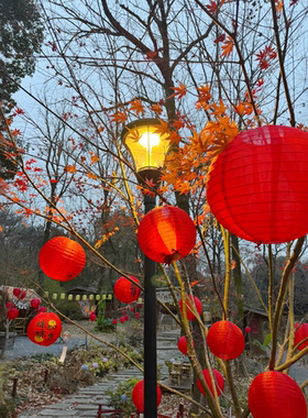 新年装饰红灯笼挂件中式纸灯笼树挂饰品春节元旦马年喜庆氛围布置