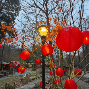 新年装饰红灯笼挂件中式纸灯笼树挂饰品春节元旦马年喜庆氛围布置